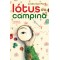 Lótus da campina