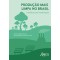 Produção mais limpa no Brasil