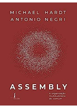 Assembly : A Organização Multitudinária Do Comum